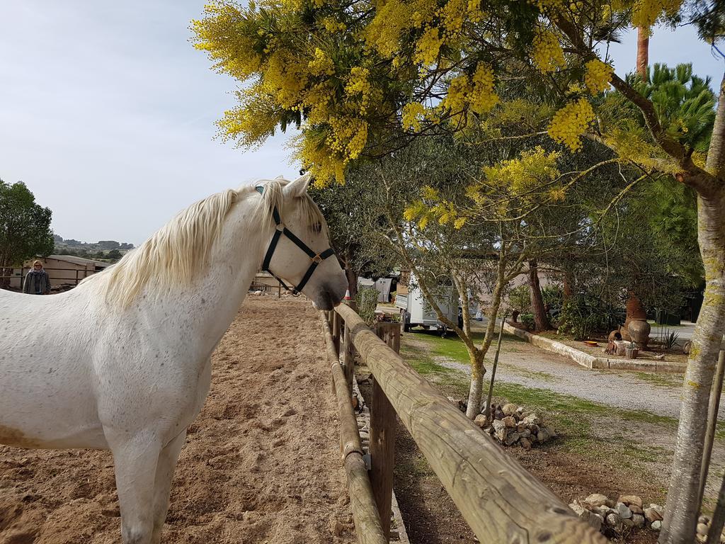 Finca Caballo Blanco Hotel Montuiri  Екстериор снимка
