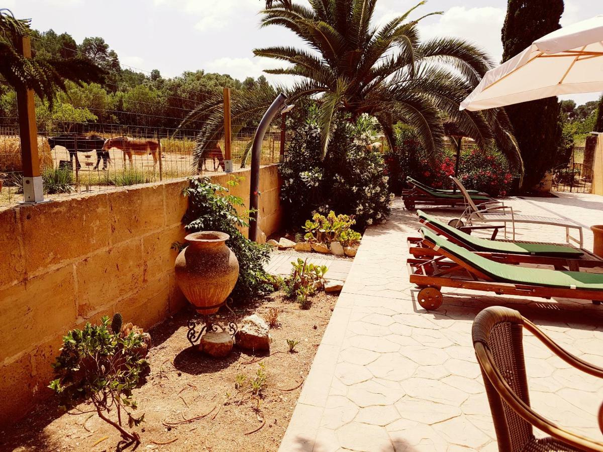 Finca Caballo Blanco Hotel Montuiri  Екстериор снимка